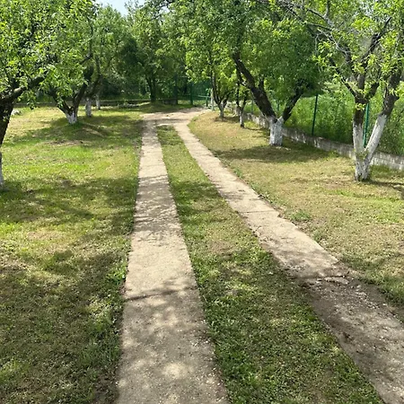 Vakantiehuis Tresnjin Cvet