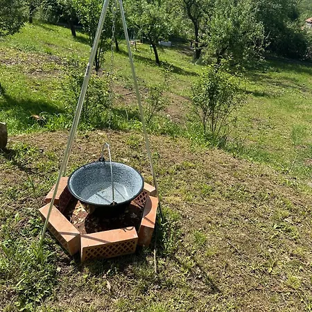 Tresnjin Cvet Vakantiehuis Ripanj