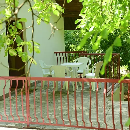 Tresnjin Cvet * Ripanj